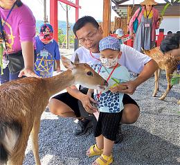 从“牙牙学语”到“简单说” 2岁伊甸慢飞成功踏出学习第一步