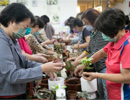 花在彰化 看见彰化女性花农故事