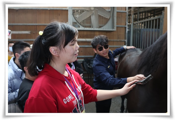 新北市政府警察局騎警隊隊員耐心引導幸福小作所學員為馬兒梳理鬃毛。