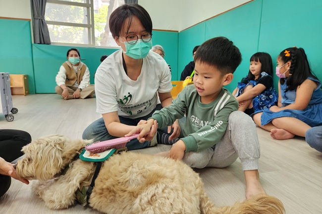 工作人员协助引导幼童练习梳毛