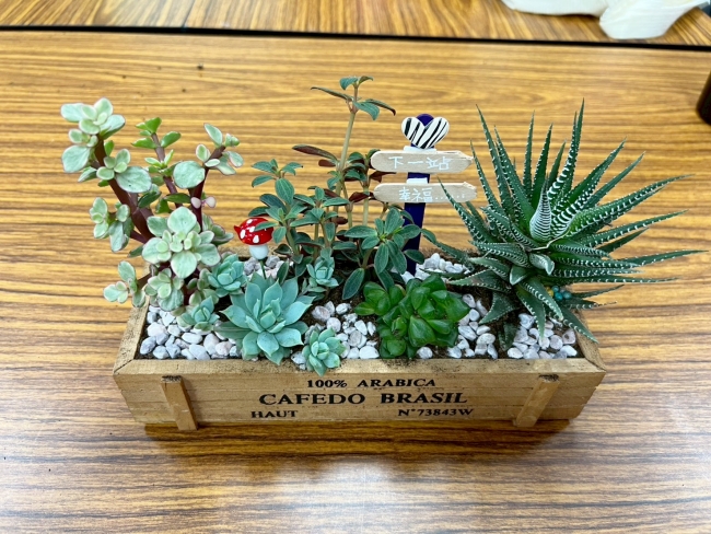 大家收获满满,成果丰盛