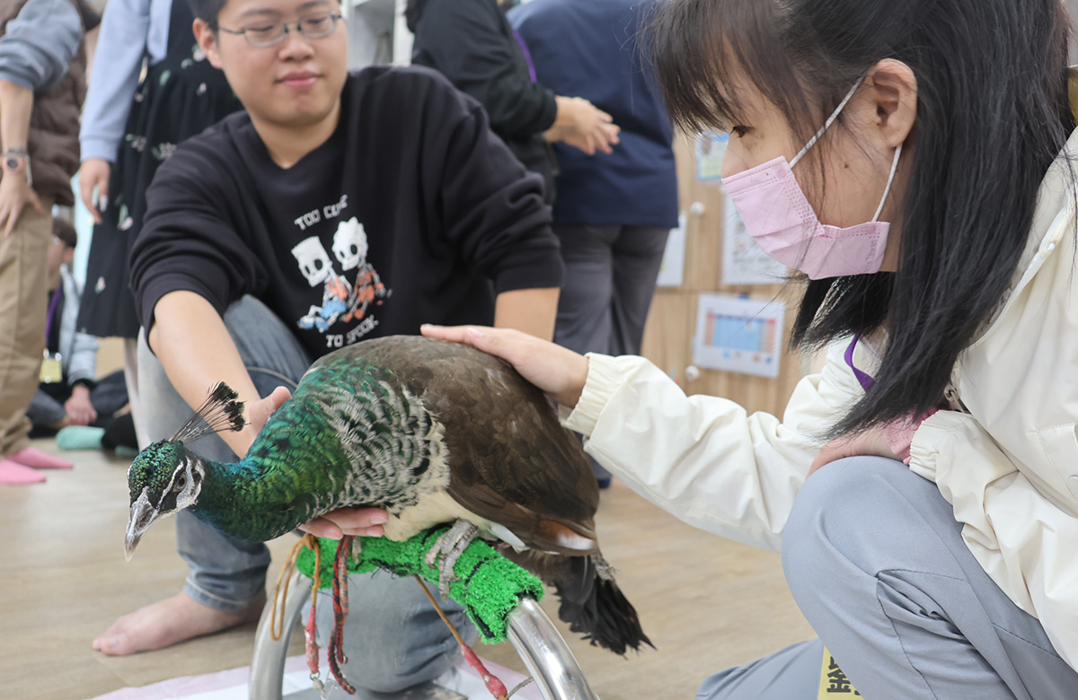 萌宠现身新庄幸福小作所 服务对象近距离探索自然世界