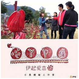 伊起爱嘉-小农体验工作营，邀您前进偏乡！
