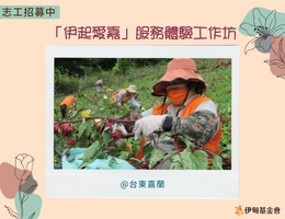 「伊起爱嘉」服务体验工作坊 邀您体验农耕乐趣