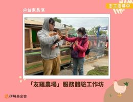 台东长滨「友鸡农场」服务体验工作坊 报名招募中