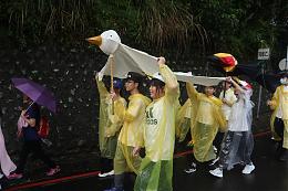 新二代化身动物代言人 为台湾保育鸟类发声