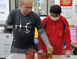 日暄会所园艺课程 让精障者获正能量