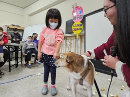 浪爱延续 伊甸基金会带慢飞天使与浪汪相遇
