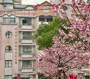 新北市新店中正身心障碍者日间照顾中心